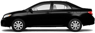 Toyota Corolla Rental
